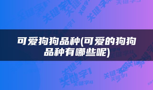 可爱狗狗品种(可爱的狗狗品种有哪些呢)