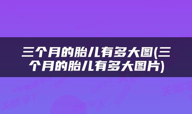 三个月的胎儿有多大图(三个月的胎儿有多大图片)