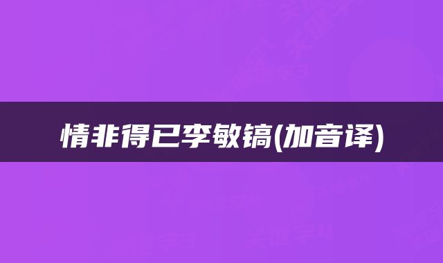 情非得已李敏镐(加音译)