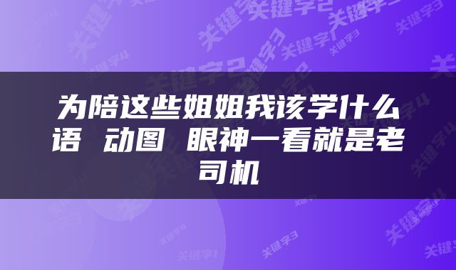 为陪这些姐姐我该学什么语 动图 眼神一看就是老司机