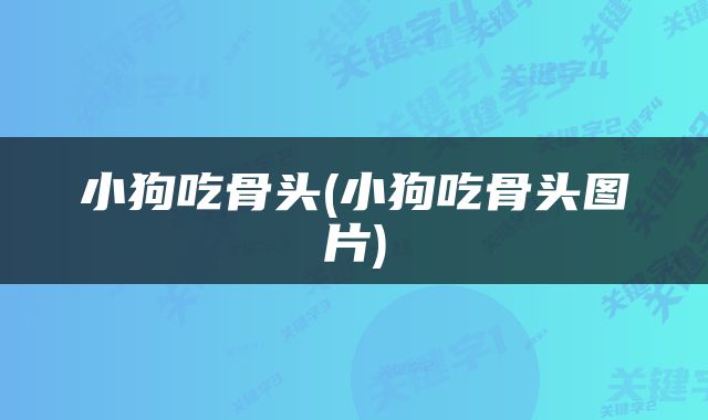 小狗吃骨头(小狗吃骨头图片)