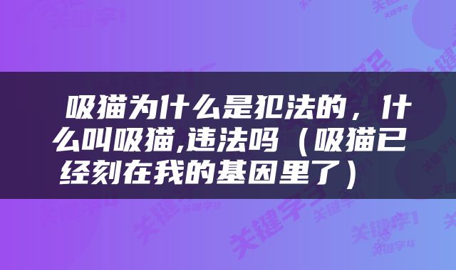  吸猫为什么是犯法的，什么叫吸猫,违法吗（吸猫已经刻在我的基因里了） 