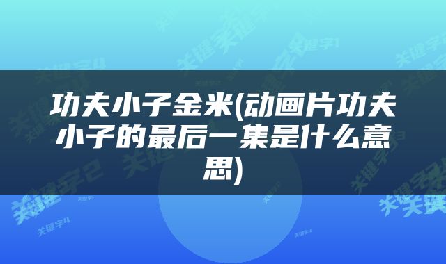 功夫小子金米(动画片功夫小子的最后一集是什么意思)