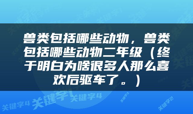 兽类包括哪些动物，兽类包括哪些动物二年级（终于明白为啥很多人那么喜欢后驱车了。）
