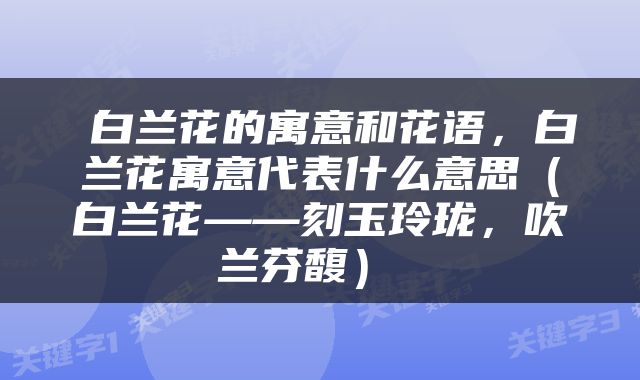  白兰花的寓意和花语，白兰花寓意代表什么意思（白兰花——刻玉玲珑，吹兰芬馥） 