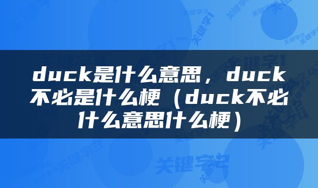 duck是什么意思，duck不必是什么梗（duck不必什么意思什么梗）