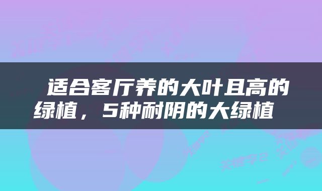  适合客厅养的大叶且高的绿植，5种耐阴的大绿植 