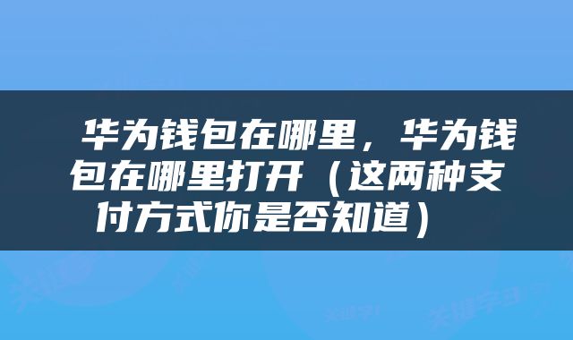  华为钱包在哪里，华为钱包在哪里打开（这两种支付方式你是否知道） 
