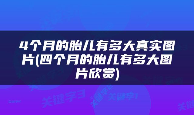 4个月的胎儿有多大真实图片(四个月的胎儿有多大图片欣赏)