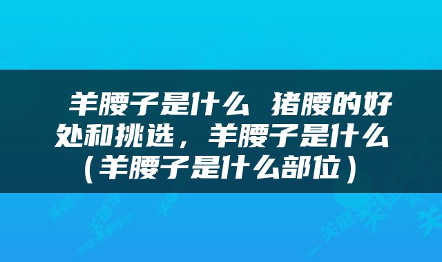  羊腰子是什么 猪腰的好处和挑选，羊腰子是什么（羊腰子是什么部位） 
