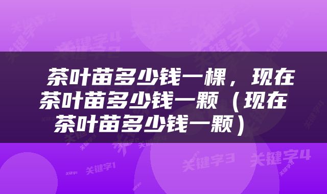  茶叶苗多少钱一棵，现在茶叶苗多少钱一颗（现在茶叶苗多少钱一颗） 
