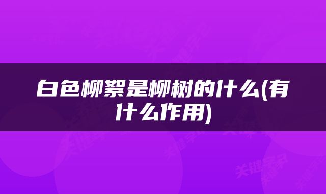 白色柳絮是柳树的什么(有什么作用)