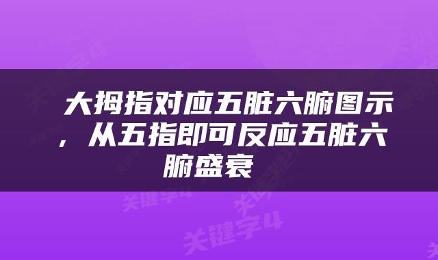  大拇指对应五脏六腑图示，从五指即可反应五脏六腑盛衰 