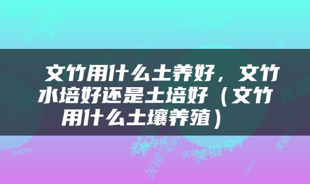  文竹用什么土养好，文竹水培好还是土培好（文竹用什么土壤养殖） 