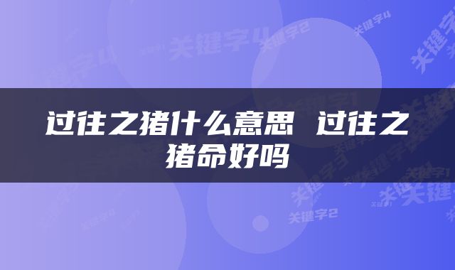 过往之猪什么意思 过往之猪命好吗