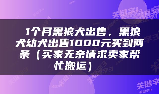  1个月黑狼犬出售，黑狼犬幼犬出售1000元买到两条（买家无奈请求卖家帮忙搬运） 