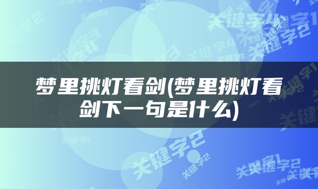 梦里挑灯看剑(梦里挑灯看剑下一句是什么)