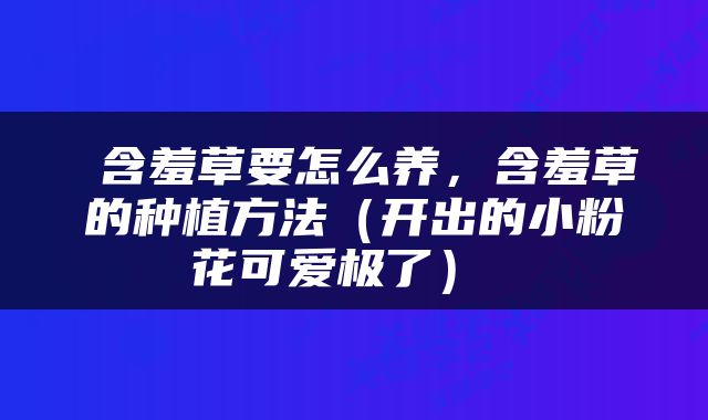  含羞草要怎么养，含羞草的种植方法（开出的小粉花可爱极了） 