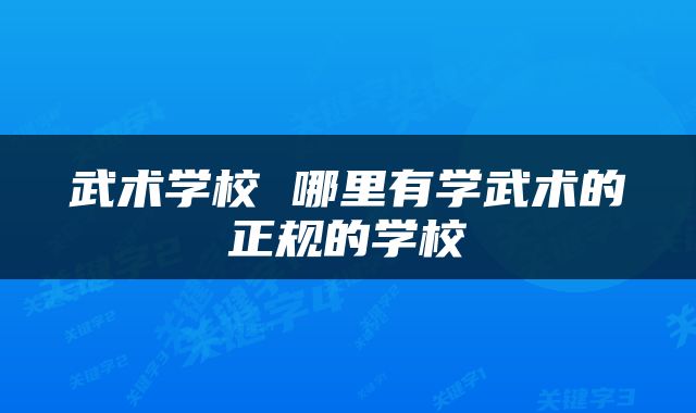 武术学校 哪里有学武术的正规的学校