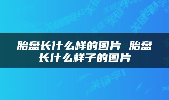 胎盘长什么样的图片 胎盘长什么样子的图片