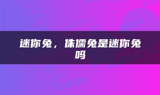 迷你兔，侏儒兔是迷你兔吗