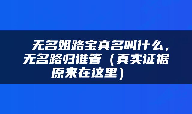  无名姐路宝真名叫什么，无名路归谁管（真实证据原来在这里） 