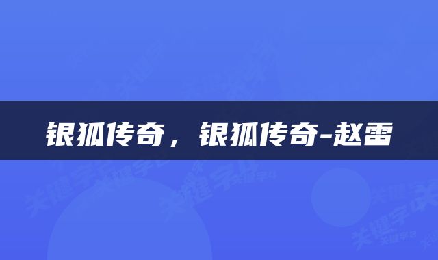 银狐传奇，银狐传奇-赵雷