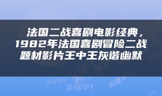  法国二战喜剧电影经典，1982年法国喜剧冒险二战题材影片王中王灰谐幽默 
