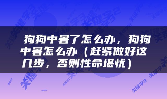  狗狗中暑了怎么办，狗狗中暑怎么办（赶紧做好这几步，否则性命堪忧） 