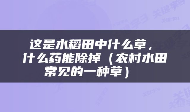  这是水稻田中什么草， 什么药能除掉（农村水田常见的一种草） 