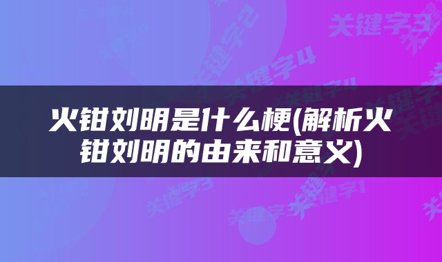火钳刘明是什么梗(解析火钳刘明的由来和意义)