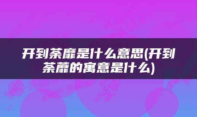 开到荼靡是什么意思(开到荼蘼的寓意是什么)