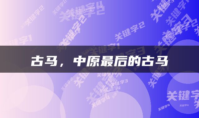  古马，中原最后的古马 