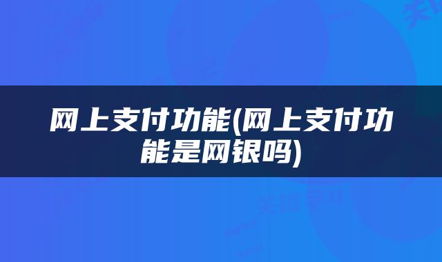 网上支付功能(网上支付功能是网银吗)