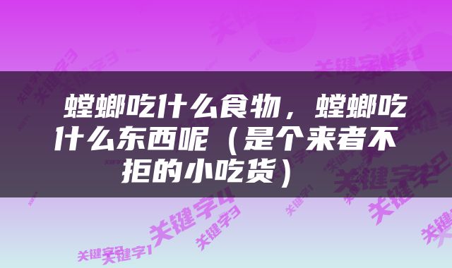  螳螂吃什么食物，螳螂吃什么东西呢（是个来者不拒的小吃货） 