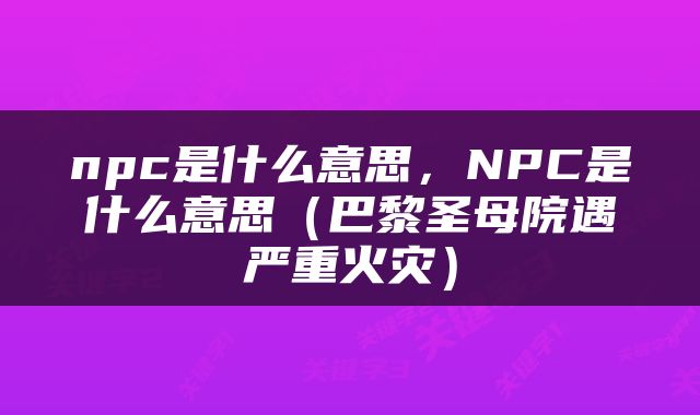 npc是什么意思，NPC是什么意思（巴黎圣母院遇严重火灾）