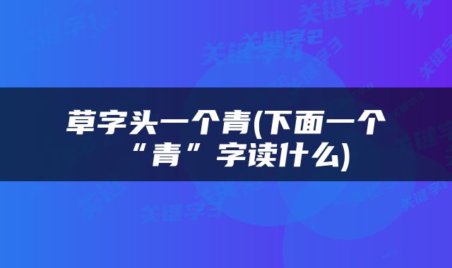 草字头一个青(下面一个“青”字读什么)