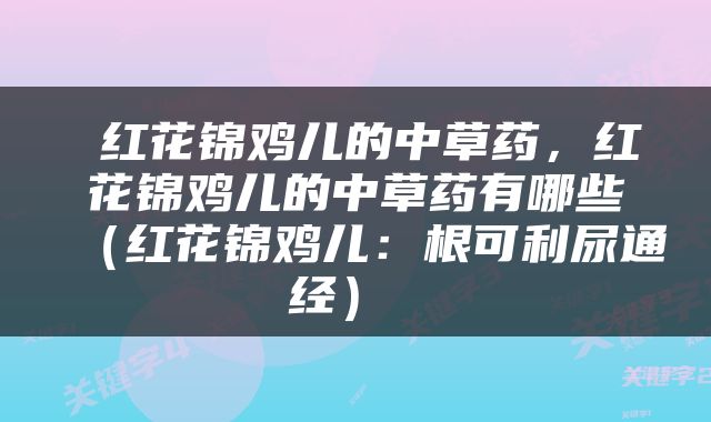  红花锦鸡儿的中草药，红花锦鸡儿的中草药有哪些（红花锦鸡儿：根可利尿通经） 