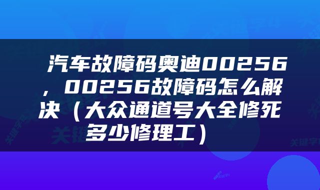  汽车故障码奥迪00256，00256故障码怎么解决（大众通道号大全修死多少修理工） 