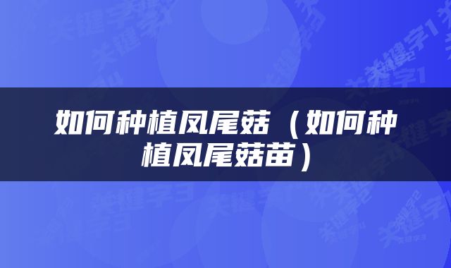 如何种植凤尾菇(如何种植凤尾菇苗)