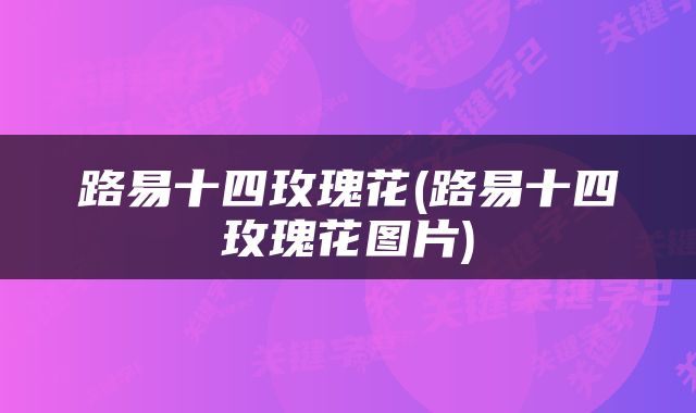 路易十四玫瑰花(路易十四玫瑰花图片)