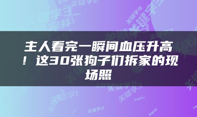 主人看完一瞬间血压升高！这30张狗子们拆家的现场照