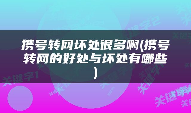 携号转网坏处很多啊(携号转网的好处与坏处有哪些)
