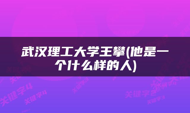 武汉理工大学王攀(他是一个什么样的人)