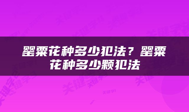 罂粟花种多少犯法？罂粟花种多少颗犯法
