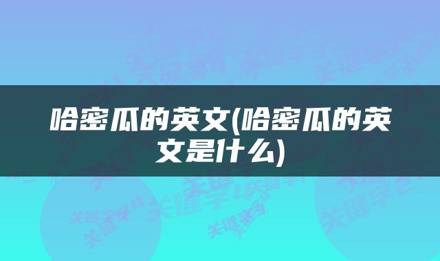 哈密瓜的英文(哈密瓜的英文是什么)