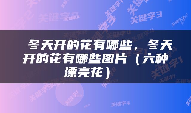  冬天开的花有哪些，冬天开的花有哪些图片（六种漂亮花） 