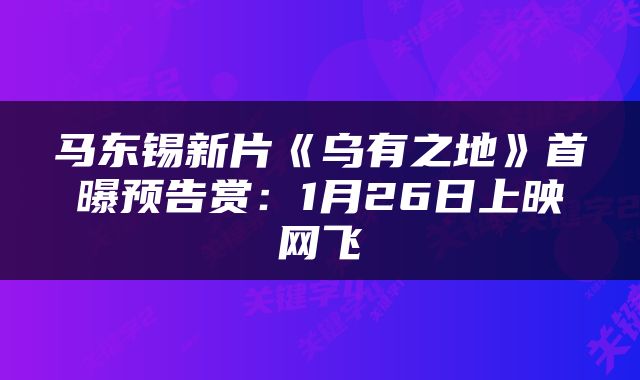 马东锡新片《乌有之地》首曝预告赏：1月26日上映网飞