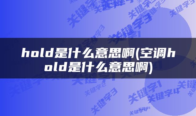 hold是什么意思啊(空调hold是什么意思啊)