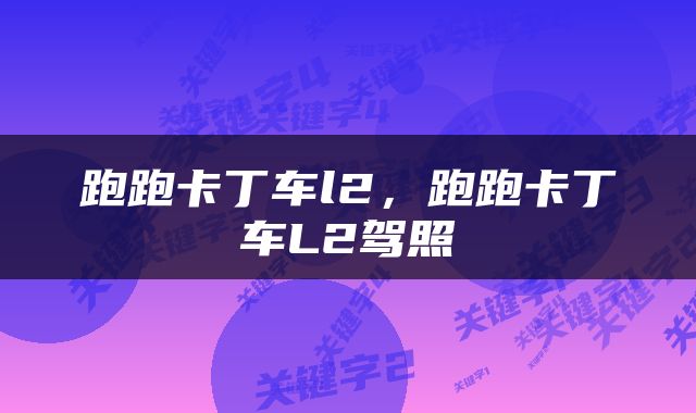 跑跑卡丁车l2，跑跑卡丁车L2驾照